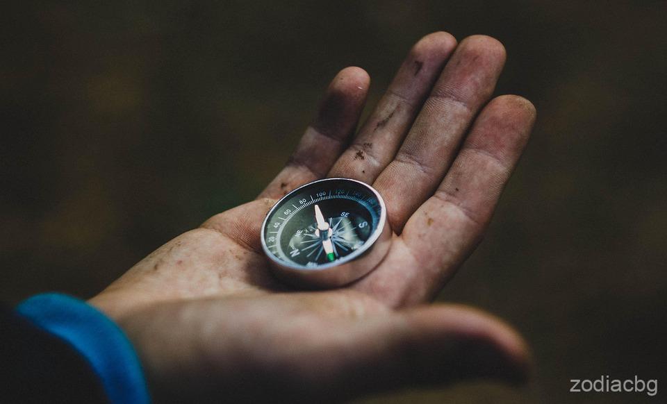 Creative Ways to Use Kitchen Tools You Already Own