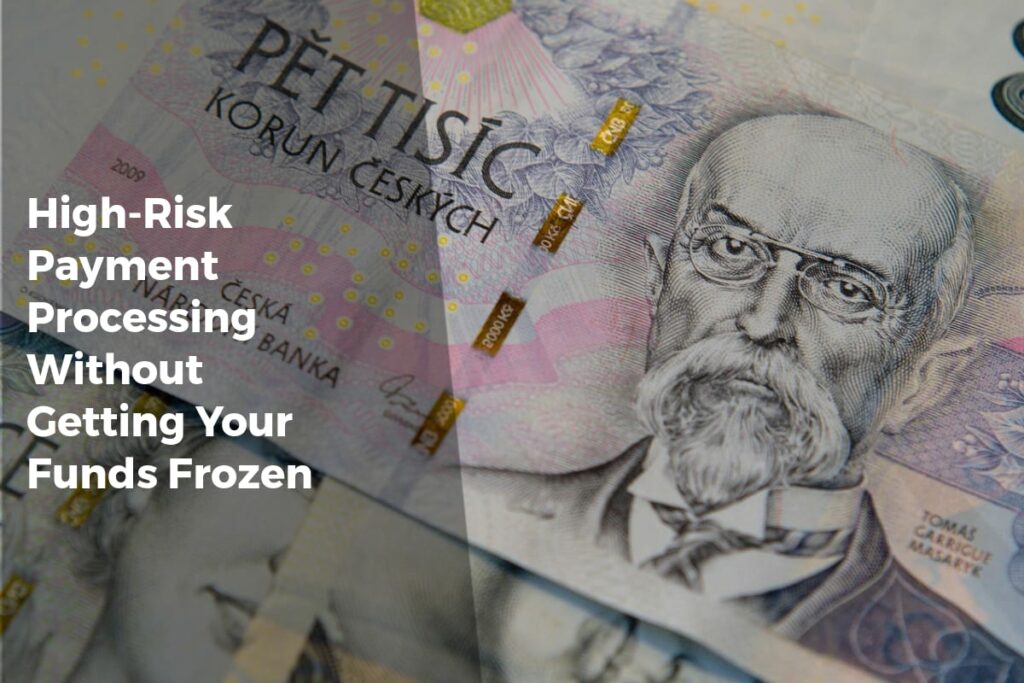 High-Risk Payment Processing Without Getting Your Funds Frozen - Payment Solutions